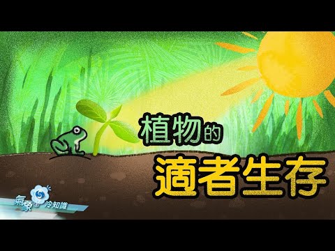 植物的適者生存 - YouTube(3:25)