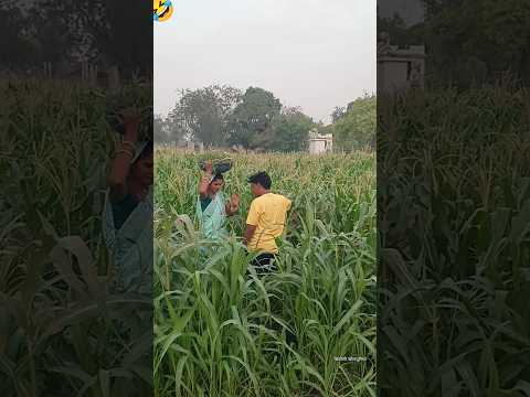 #shorts #shortfeed | vijay bitoli jaunpuriya | #shortsvideo | #ट्रेंडिंग ? ?