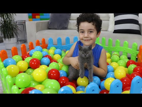 Yusuf and Cat's stories @OyuncuYusuf