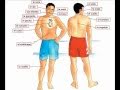 Exploring Spanish Body Parts Through Song