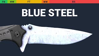 Nomad Knife Blue Steel Wear Preview