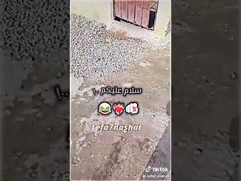 ميلو خايف من الكرونه