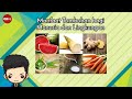 Benefits of Plants for Humans and the Environment