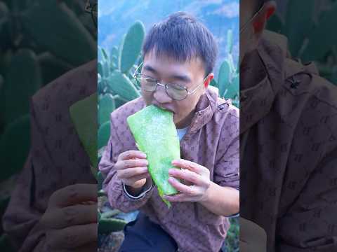 ¿El cactus sabe realmente rico?