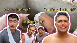 Love story sa Baboyan