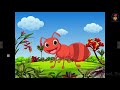 Birds and Insects Characteristics