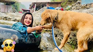Romeo ne dubne se Bachaya🥺😘♥️🐶