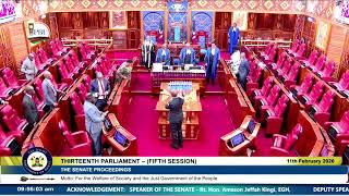 The Senate Plenary || Wednesday 11th February 2026|| Morning Session