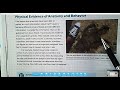 Mass Extinction and Fossil Analysis