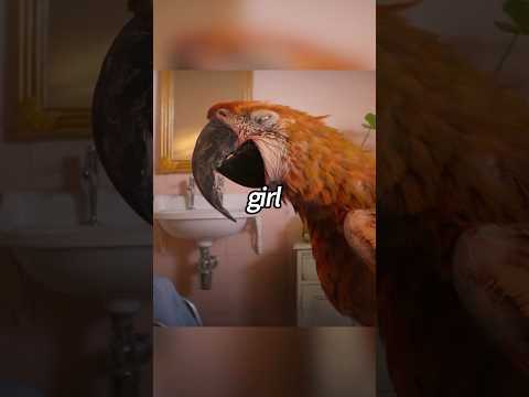 ๐
๐
๐
Death has turned into a parrot#movie #films#FutureLink