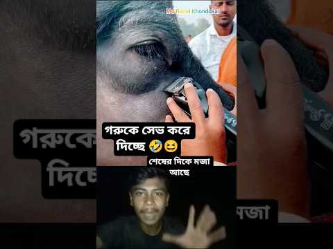 জীবনের প্রথম দেখলাম মহিশকে সেভ করে দিতে 🤣 #duet #funny #sortvideo