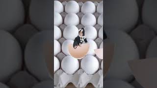 Cute baby eggs #love #youtube #youtubeshorts