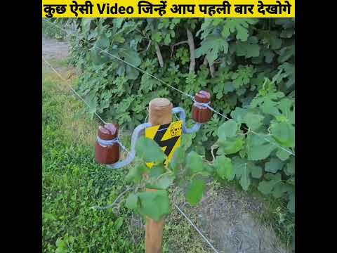 कुछ ऐसी Video जिन्हें आप पहली बार देखोगे- By Anand Facts | Interesting videos | Amazing Facts#shorts
