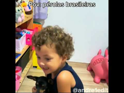 Pérolas brasileiras #brasil #memes #tentenaorir #humor