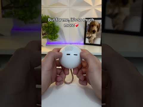 A crystal ball with my dog’s memory🐾💫Forever in my heart.#dogmemorial #petloss #foreverfriends