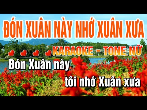 Đón Xuân Này Nhớ Xuân Xưa Karaoke Tone Nữ Dễ Hát Nhạc Tết 2026