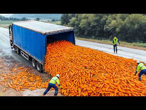 Los Errores Más Ridículos de los Trabajadores Captados por las Cámaras