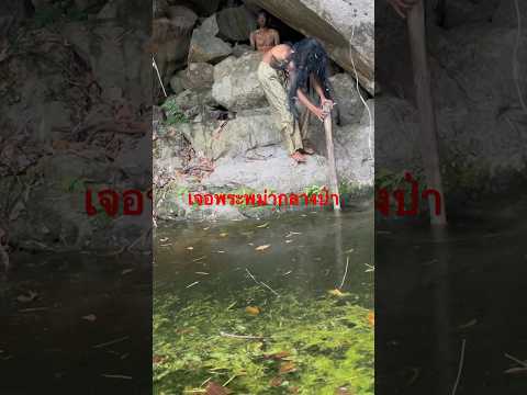 เด็กป่าพามาดูพระพม่าท่านเพิ่งย้ายมาก