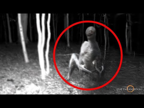 5 Momentos de TERROR Paranormal para NO Dormir / Parte 3 / Fantasmas y Criaturas 2024