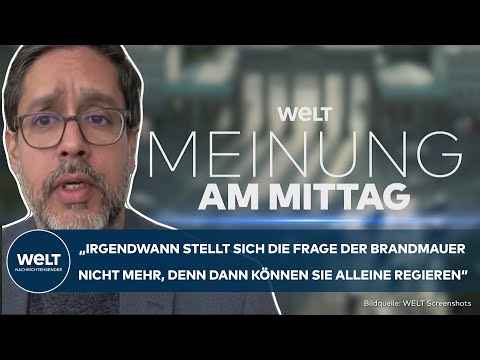 POPULISTEN-POWER: „Die Mitte lässt das Feld frei“ - Hasnain Kazim über die Stärke der AfD | Meinung