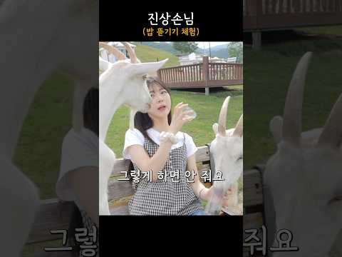 밥 줘버리기 (feat. 산양아치)