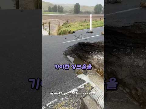 여길 지나가는 용자가 나타남