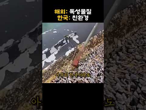 모두가 한계에 부딪힌 난제에 한국이 기술로 증명해내자 충격적인 반응