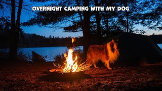 Overnight Camping With My Dog