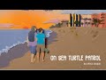Loggerhead Turtle Facts and Conservation