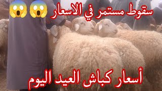 أسعار كباش العيد اليوم في سوق ولاية الجلفة يوم الثلاثاء 15افريل 2025وتراجع مستمر في الاسعار