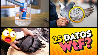 ¡25 Datos WTF Que Te Volarán la Cabeza en 350 segundos! ⏰🤯 [2]