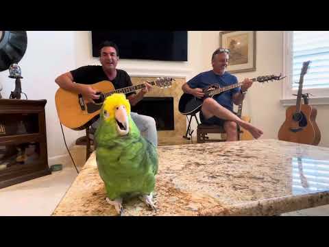 Rocky Mountain Way (feat. Rob Robinson)