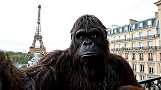 Bigfoot Vlog - Can a Gorilla Find Love in Paris?