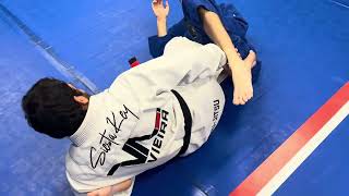 STRAIGHT ANKLE LOCK