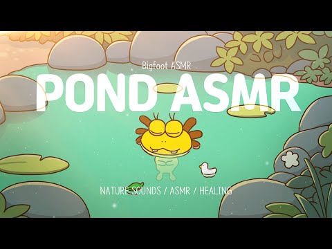 [1hour ASMR🎧] 마음이 편안해지는 연못 소리🪷 | 연못의 고요한 ASMR | 삐뿌와 함께하는 nature sound 🌿 | 공부 | 집중 | 힐링