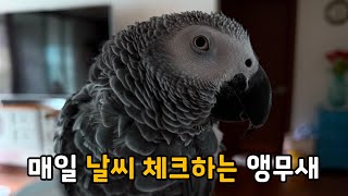 자진귀가하는 김로미ㅣ이열치열 불꽃효녀 김몽몽ㅣ매일 날씨체크하는 김루이ㅣ도벽을 못 끊는 김다정