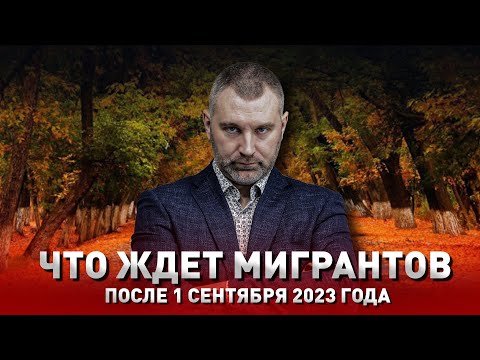 ЧТО ЖДЕТ МИГРАНТОВ 1 СЕНТЯБРЯ 2023 ГОДА | Обращение Вадима Коженова