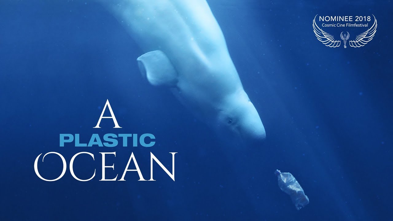 A Plastic Ocean Vorschaubild des Trailers