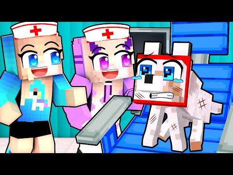 STALY jsme se DOKTORKAMI v Minecraftu! 🐾👩🏻‍⚕️