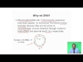 Phylogenetic Trees and Evolutionary Relationships