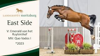 EAST SIDE v. Emerald van het Ruytershof - Quo Vados I