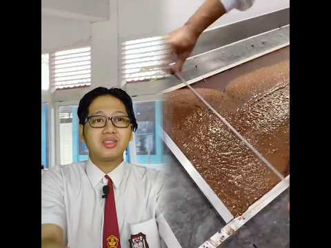 ternyata teman berasal dari keluarga KAYA #fyp #ngakak #funny #pov