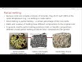 Geological Processes and Rock Formation