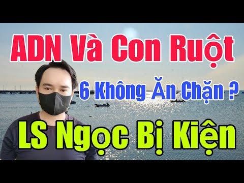 🟢 ADN và Con Ruột...6 không ăn chặn, Nguy rồi LS Ngọc bị kiện