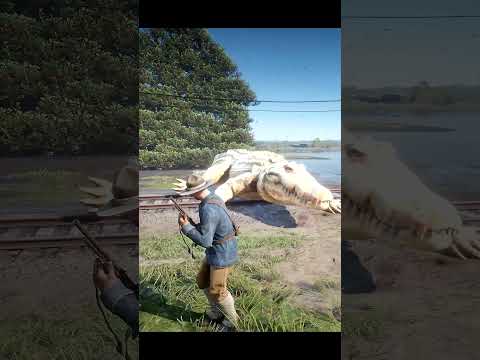 Great Survival Skills vid571