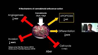 IACM 2020 - Abrams Guzman: Cannabis in cancer care