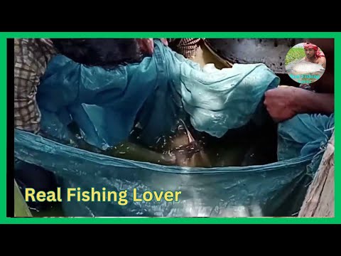 Amazing real fishing video|Fishing #3