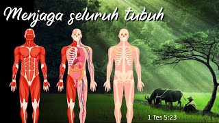 Menjaga seluruh tubuh