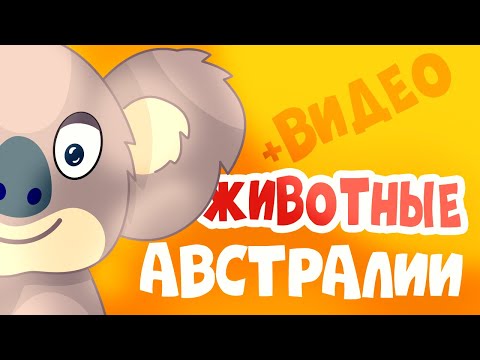 Животные Австралии для детей – Учим слова и названия зверей!