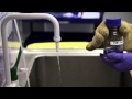 Agarose Gel Techniques in Molecular Biology
